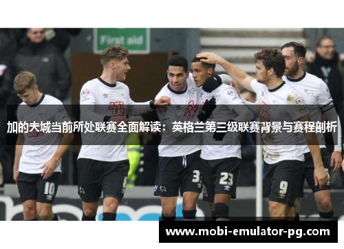 加的夫城当前所处联赛全面解读：英格兰第三级联赛背景与赛程剖析